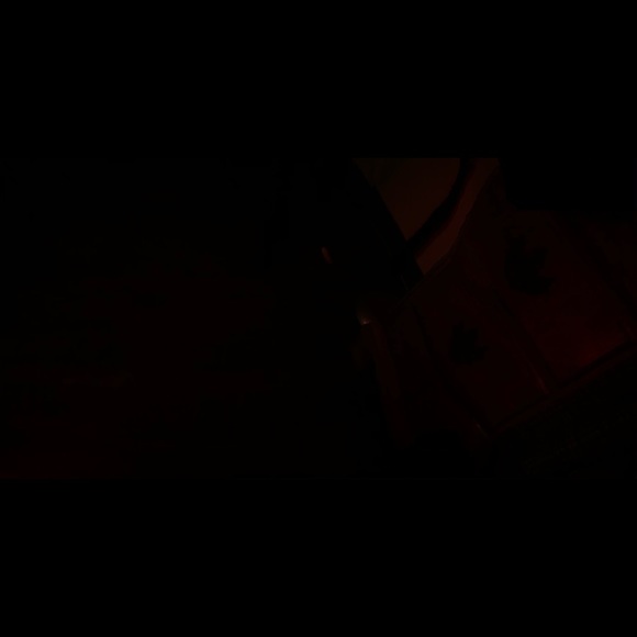 Meet your Posher, Owen - Picture 1 of 1